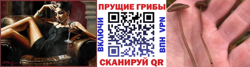 Галлюциногенные грибы ЛСД  дарнет шоп  Клинцы 