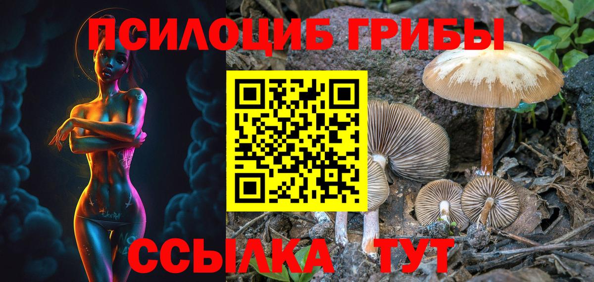 Псилоцибиновые грибы Magic Shrooms Клинцы
